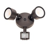 Security Lights and Wall Packs