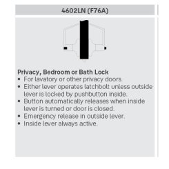 Accentra Laockset door handle