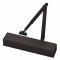 Door Closer in Black Finish