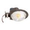 Topaz ARL-BL-60WPCTS LED Outdoor Area Light 40W, 5000K CCT, Bronze Finish