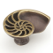 Shell Knob