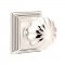 Emtek 8161 Melon Knob with Wilshire Rosette Polished Nickel