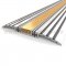 Aluminum Threshold with Epoxy Abrasive