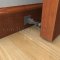 Deltana Decorative 3-1/2" Baseboard Door Bumper, Solid Brass Applied on Door 