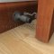 Deltana Wall Mount Heavy Duty Bumper Applied