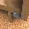 Hafele Pre-drilled Lower Guide Channel Applied