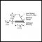 Product Specs of Adhesive Weatherstrip #HSS2000xS44