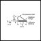 Product Specs of Adhesive Weatherstrip #HS2000xS88