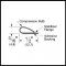 Product Specs of Adhesive Weatherstrip #PK55