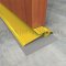 Gold Finish Interlocking Threshold