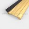 Gold Anodized Door Gasket