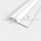 Painted White Door Gasket