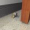 Rockwood 480H High Heavy Duty Cast Brass Floor Mounted Door Stop, 2-1/4" Height, Applied