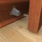 Rockwood 490 Door Holder With Strike Applied