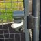 Locinox LMKQV2 / LMPQV2 Gate Lock installed on gate