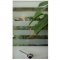 Activar VISTAMATIC Vision Lite Kit with etched glass-blades open