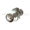 Emtek #8 Rosette with Providence Knob Dummy Function in US15