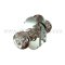 Door Knob with Lock in Chrome finish