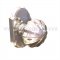 Emtek 8108 Melon Knob with #8 Rosette Polished Nickel