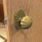 Application Image for Emtek 8108 Melon Knob with #8 Rosette