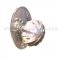 Emtek 8120 Melon Knob with Oval Rosette Polished Nickel