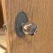 Application Image for Emtek 8120 Bristol Knob with Oval Rosette Antique Nickel