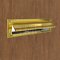 Ives 620 Magazine Size Letter Box Plate in Polished Brass