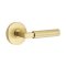 Emtek Hercules Door Handle, Modern Designer Brass, Disk Rosette, Satin Brass (US4) Finish