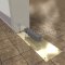 Rixson H40 Series, Floor Door Closer, Center Hung, Double Acting, Application