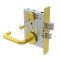 Schlage L Series, 03 Door Handle, Escutcheon, Non-Keyed, Satin Brass