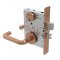 Schlage L Series, 03 Door Handle, Escutcheon, Non-Keyed, Satin Bronze