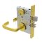 Schlage L Series, M83 Door Handle, Door Handle, Escutcheon, Keyed, Double Cylinder , Satin Brass