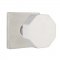 Emtek S10002 Stainless Steel Octagon Knob with Square Rosette
