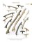 Schaub Cabinet Pulls,  Mountain Collection Page