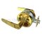Door Locks Satin Brass Finished