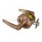Accentra Door Handle 5300LN, Monroe Lever, Satin Bronze Finish