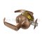 Accentra Door Handle 5300LN, Pacific Beach Lever, Satin Bronze Finish