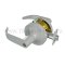 Accentra Door Handle 5300LN, Pacific Beach Lever, White Suede Powder Coat Finish