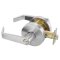 Accentra Door Handle 4600LN, Satin Chrome Plated Finish