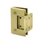 FHC Carolina Beveled Adjustable Wall Mount Hinge for Shower Doors - Short Back Plate- Rear, Satin Brass (US4) Finished