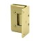 FHC Jr Preston 5 Degree Positive Wall Mount Hinge for Shower Doors - Full Offset Back Plate 1/4" Glass- Rear, Satin Brass (US4) Finished