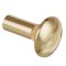 Securitron SB-1 Sex Bolt Replacement For Magnalock, Polished Brass Finish