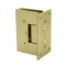 FHC Valore HD Series Wall Mount Hinge for Shower Doors - Full Back Plate- Rear, Satin Brass (US4) Finished