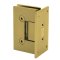 FHC Venice Series Wall Mount Hinge for Shower Doors - Short Back Plate- Rear, Polished Brass (US3) Finished