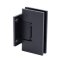 FHC Venice Series Wall Mount Hinge for Shower Doors - Short Back Plate, Oil Rubbed Bronze (US10B) Finished