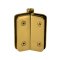 FHC Zephyr Glass-To-Glass Inline Outswing Hinge for Shower Doors - 3/8" Glass- Rear, Satin Brass (US4) Finished