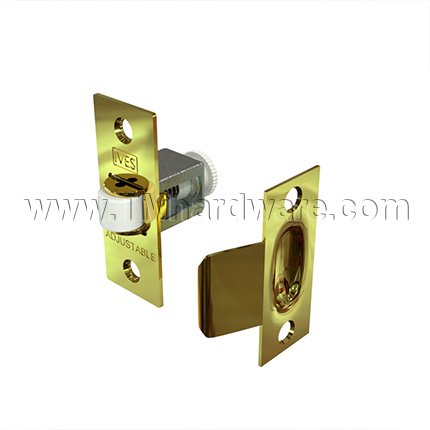 Ives 336 Roller Catch in Polished Brass Finish (US3)