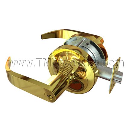 Accentra Door Handle 4704LN, Pacific Beach Lever, Bright Brass Finish