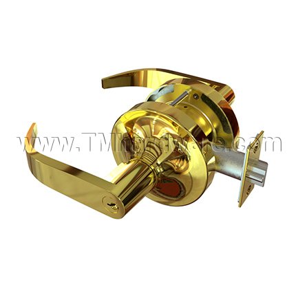 Accentra Door Handle 5304LN, Pacific Beach Lever, Bright Brass Finish
