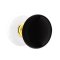 Emtek Ebony Door Knob, Porcelain, Passage, Porcelain Rosette, Polished Brass - Lifetime (US3) Finish